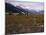 Disused Trapper's Hut and the Grassland, Forest and Glacier of Fort Richardson Park, Alaska, USA-Jeremy Bright-Mounted Photographic Print