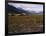 Disused Trapper's Hut and the Grassland, Forest and Glacier of Fort Richardson Park, Alaska, USA-Jeremy Bright-Framed Photographic Print