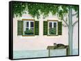 Canvas Black
