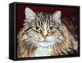 Framed Canvas