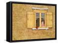 Framed Canvas