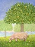 Right Hand Orchard Pig-Ditz-Giclee Print