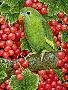 Just the Print