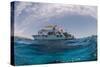 Dive Boats, Low Angle View, Ras Mohammed National Park, Red Sea, Egypt, North Africa, Africa-Mark Doherty-Stretched Canvas
