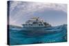 Dive Boats, Low Angle View, Ras Mohammed National Park, Red Sea, Egypt, North Africa, Africa-Mark Doherty-Stretched Canvas