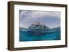 Dive Boats, Low Angle View, Ras Mohammed National Park, Red Sea, Egypt, North Africa, Africa-Mark Doherty-Framed Photographic Print