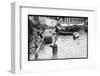 Dive Bombing in Biarritz-null-Framed Photographic Print