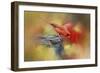 Dive In-Jai Johnson-Framed Giclee Print