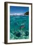 Dive to Philippines-Andrey Narchuk-Framed Photographic Print