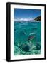 Dive to Philippines-Andrey Narchuk-Framed Photographic Print