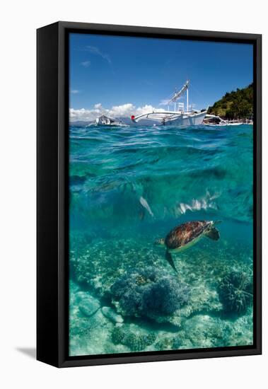 Dive to Philippines-Andrey Narchuk-Framed Stretched Canvas