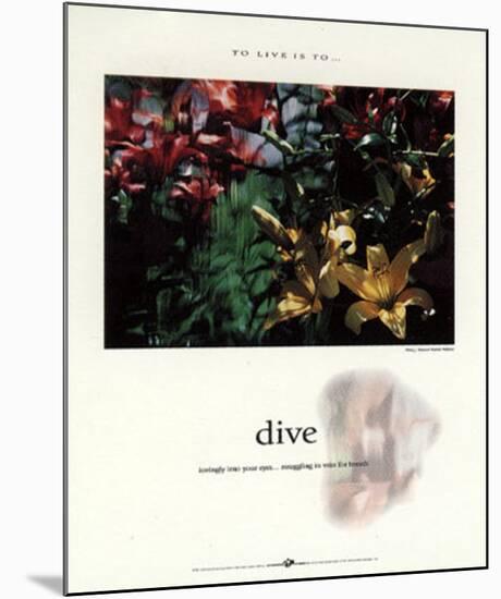 Dive-Francis Pelletier-Mounted Art Print