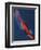 Diver 2-Graham Dean-Framed Premium Giclee Print