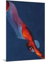 Diver 2-Graham Dean-Mounted Giclee Print