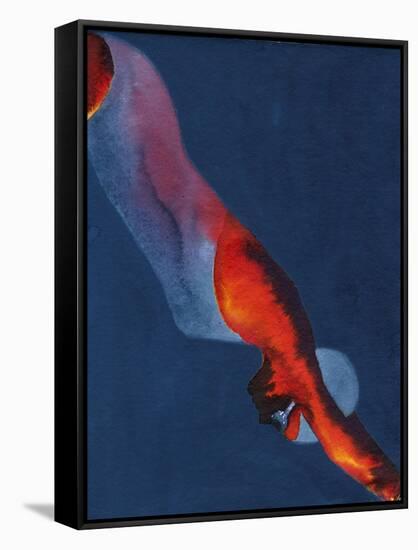 Diver 2-Graham Dean-Framed Stretched Canvas