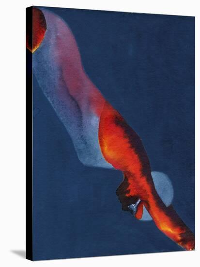 Diver 2-Graham Dean-Stretched Canvas