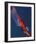 Diver 2-Graham Dean-Framed Giclee Print