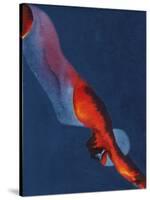 Diver 2-Graham Dean-Stretched Canvas