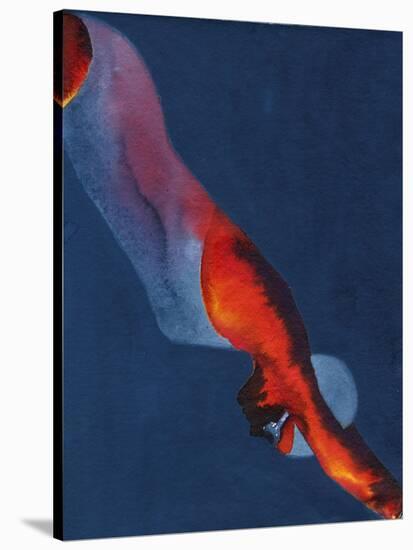 Diver 2-Graham Dean-Stretched Canvas