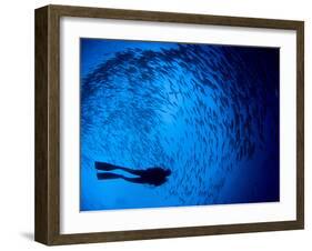 Diver And a Large School of Bigeye Trevally, Papua New Guinea-Stocktrek Images-Framed Photographic Print