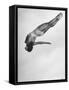 Diver Ann Ross Performing Dive-Gordon Coster-Framed Stretched Canvas