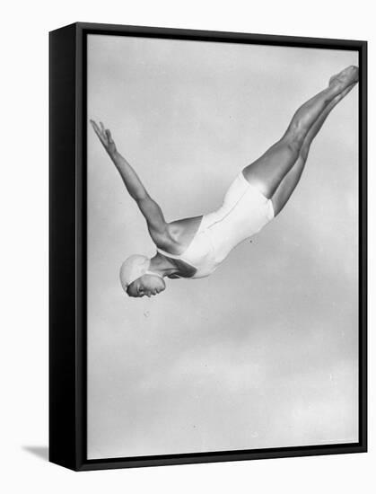 Diver Ann Ross Performing Swan Dive-Gordon Coster-Framed Stretched Canvas