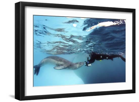 Premium Photographic Print, , large