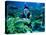 Diver Dressed as Santa Claus Feeds Fish as Part of Christmas Celebrations, Aquarium in Kuala Lumpur-null-Stretched Canvas