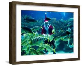 Diver Dressed as Santa Claus Feeds Fish as Part of Christmas Celebrations, Aquarium in Kuala Lumpur-null-Framed Photographic Print