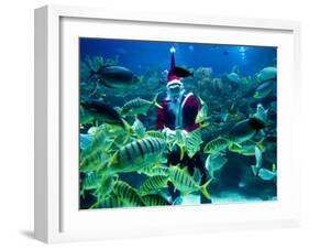 Diver Dressed as Santa Claus Feeds Fish as Part of Christmas Celebrations, Aquarium in Kuala Lumpur-null-Framed Photographic Print