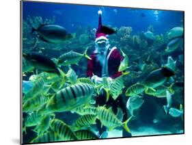 Diver Dressed as Santa Claus Feeds Fish as Part of Christmas Celebrations, Aquarium in Kuala Lumpur-null-Mounted Photographic Print