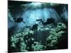 Diver Enters the Cavern System in the Riviera Maya Area of Mexico-null-Mounted Photographic Print