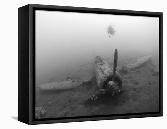 Diver Explores the Wreck of a Mitsubishi Zero Fighter Plane-Stocktrek Images-Framed Stretched Canvas