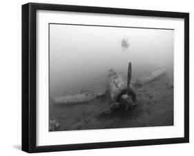 Diver Explores the Wreck of a Mitsubishi Zero Fighter Plane-Stocktrek Images-Framed Photographic Print