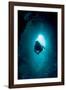 Diver Exploring a Blue Hole-Matthew Oldfield-Framed Photographic Print