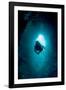 Diver Exploring a Blue Hole-Matthew Oldfield-Framed Photographic Print