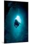 Diver Exploring a Blue Hole-Matthew Oldfield-Mounted Photographic Print
