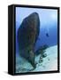 Diver Exploring the Felipe Xicot�Ncatl Shipwreck in Cozumel, Mexico-null-Framed Stretched Canvas