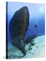 Diver Exploring the Felipe Xicot�Ncatl Shipwreck in Cozumel, Mexico-null-Stretched Canvas