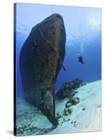 Diver Exploring the Felipe Xicot�Ncatl Shipwreck in Cozumel, Mexico-null-Stretched Canvas