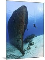Diver Exploring the Felipe Xicot�Ncatl Shipwreck in Cozumel, Mexico-null-Mounted Photographic Print