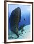 Diver Exploring the Felipe Xicot�Ncatl Shipwreck in Cozumel, Mexico-null-Framed Photographic Print