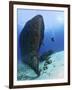 Diver Exploring the Felipe Xicot�Ncatl Shipwreck in Cozumel, Mexico-null-Framed Photographic Print