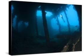 Diver Exploring the Liberty Wreck, Tulamben, Bali, Indonesia-null-Stretched Canvas