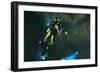 Diver Exploring Underwater Cavern and Caves, Raja Ampat, Indonesia-null-Framed Photographic Print