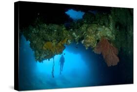 Diver Exploring Underwater Cavern and Caves, Raja Ampat, Indonesia-null-Stretched Canvas