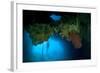 Diver Exploring Underwater Cavern and Caves, Raja Ampat, Indonesia-null-Framed Photographic Print