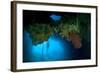 Diver Exploring Underwater Cavern and Caves, Raja Ampat, Indonesia-null-Framed Photographic Print