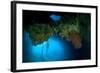 Diver Exploring Underwater Cavern and Caves, Raja Ampat, Indonesia-null-Framed Photographic Print