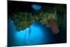 Diver Exploring Underwater Cavern and Caves, Raja Ampat, Indonesia-null-Mounted Photographic Print